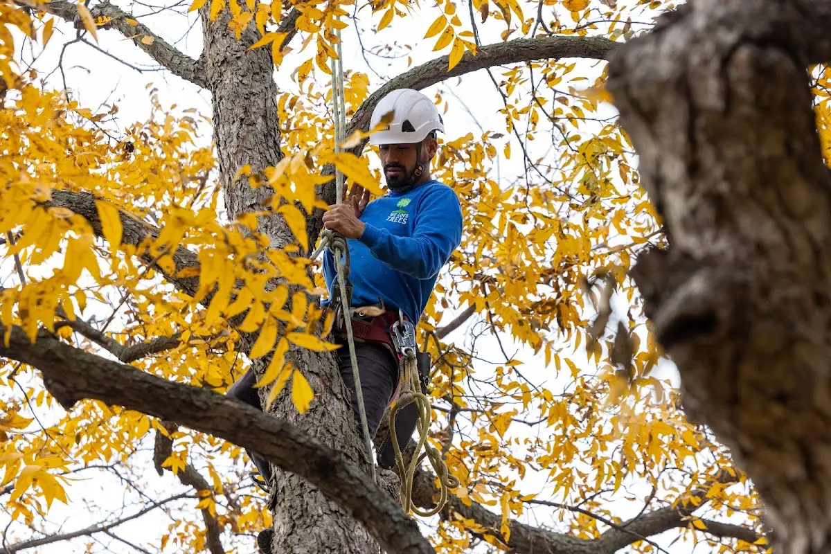 Skilled Storm Damage Cleanup crew working in Washington Crossing